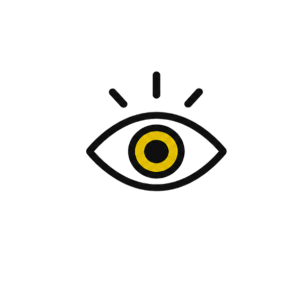 vision